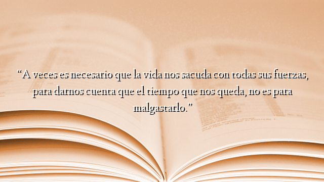 “A veces es necesario que la vida nos sacuda con todas sus fuerzas, para darnos cuenta que el tiempo que nos queda, no es para malgastarlo.”