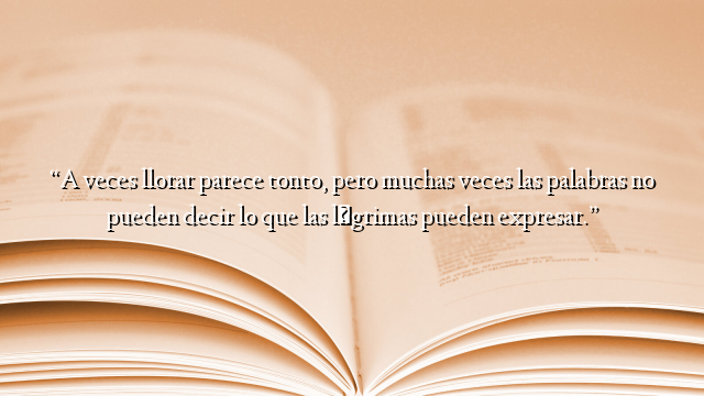 “A veces llorar parece tonto, pero muchas veces las palabras no pueden decir lo que las lágrimas pueden expresar.”
