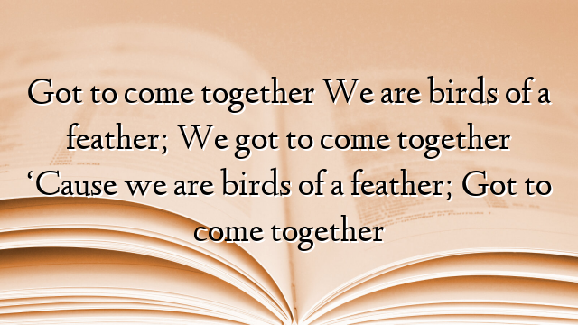 Got to come together We are birds of a feather; We got to come together ‘Cause we are birds of a feather; Got to come together