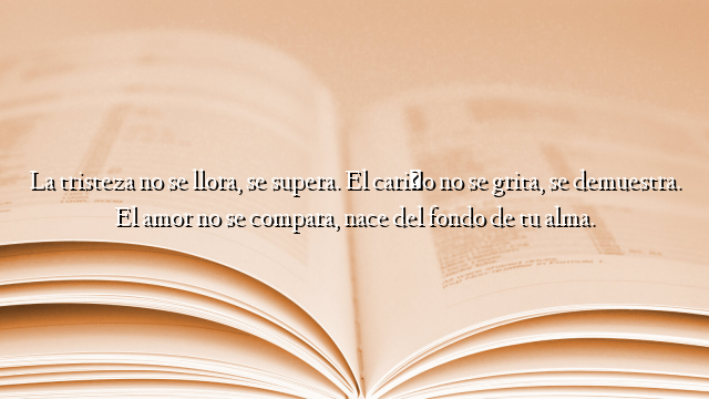 La tristeza no se llora, se supera. El cariño no se grita, se demuestra. El amor no se compara, nace del fondo de tu alma.