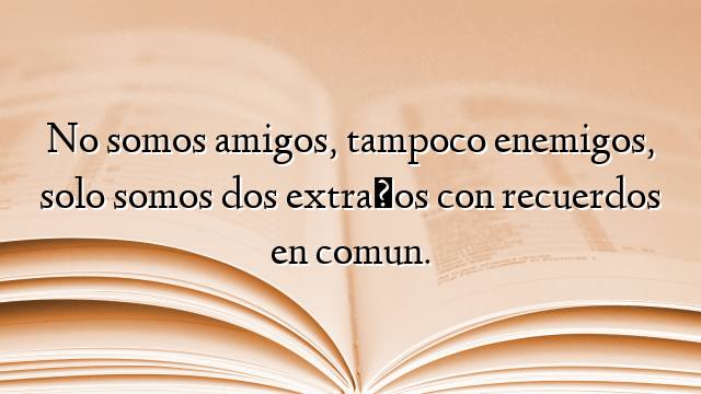 No somos amigos, tampoco enemigos, solo somos dos extraños con recuerdos en comun.