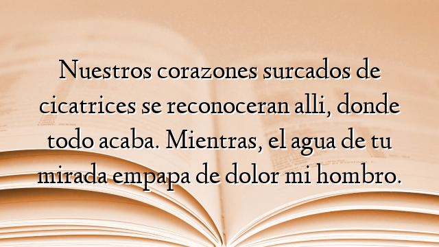 Nuestros corazones surcados de cicatrices se reconoceran alli, donde todo acaba. Mientras, el agua de tu mirada empapa de dolor mi hombro.