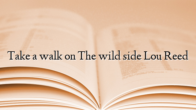 Take a walk on The wild side Lou Reed
