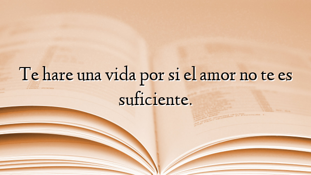 Te hare una vida por si el amor no te es suficiente.