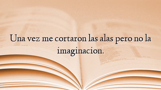 Una vez me cortaron las alas pero no la imaginacion.